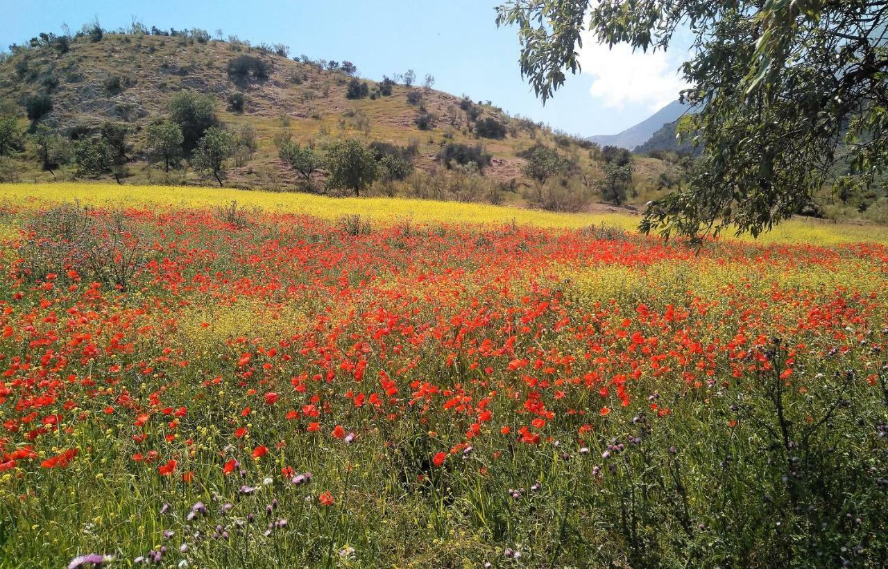 Magina Dream La Guardia Turismo Rural La Guardia de Jaén Zewnętrze zdjęcie